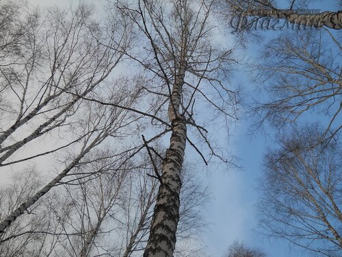 DSCN0111_r